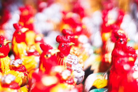 Colorful roosters in the market, closeup of photo
