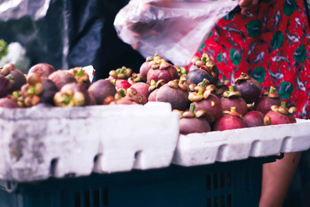 Mangosteen in the market, Thailand. (Selective focus)の写真素材