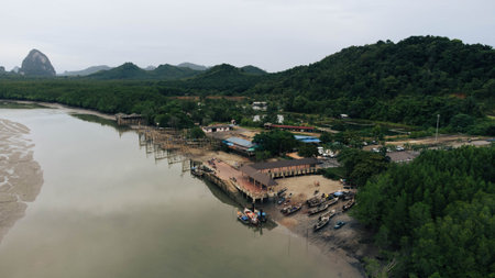 Aerial view of Mangrove forest and fishing village in Vietnam