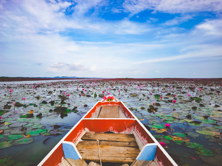Beautiful view of red lotus flower and boat in the sea