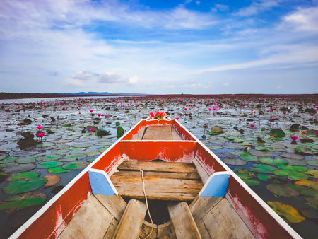 Boats on the red lotus lake in Udonthani, Thailandの写真素材