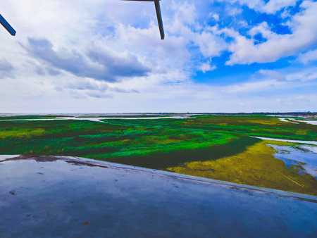 Aerial view of wetland with green grass and blue sky.