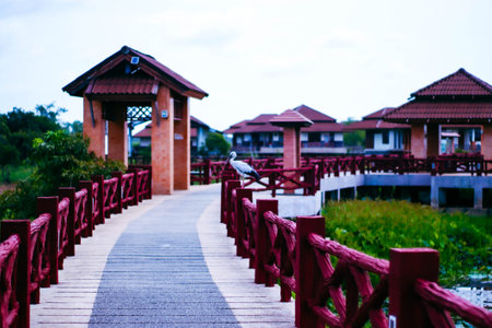 Wooden bridge in the park at sunset. Selective focus.