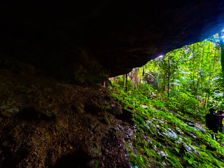 Cave in the forest at Doi Inthanon National Park, Thailand