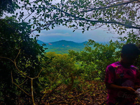 Beautiful view at Doi Pha Tang in Thailand.