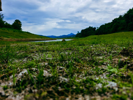 Landscape view of green grass field and blue sky with white clouds.の写真素材