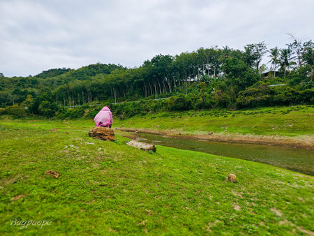 A woman in a pink robe sits on a rock near the river.