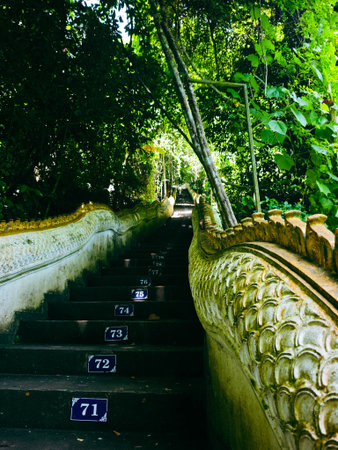 Stone stairs in the park, Thailand. (Selective focus)の写真素材