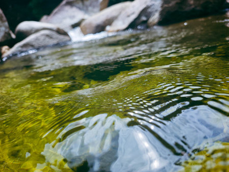 water stream in the forest with stones and reflections of sunlight in the waterの写真素材