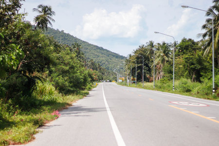 Road on the mountain with coconut tree at sunny day, Thailand.の写真素材