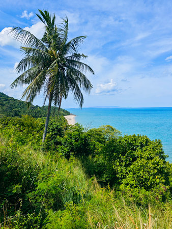 View of the sea from the top of the mountain. Koh Samui, Thailandの写真素材