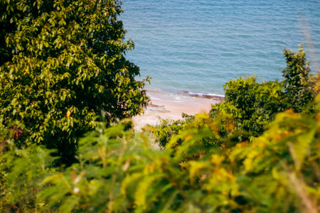 View of the beach from the top of the hill in the summerの写真素材