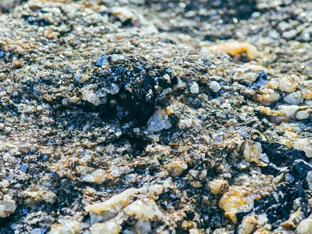 Rocky beach with sand and pebbles. Close up.の写真素材