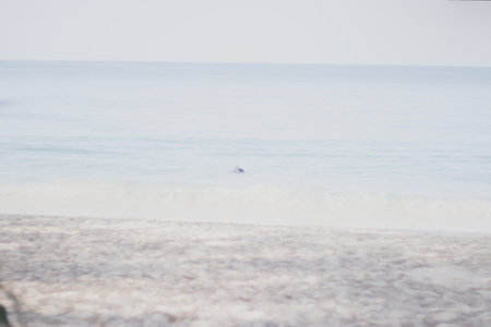 Surfer on the beach in the morning. Selective focus.の写真素材