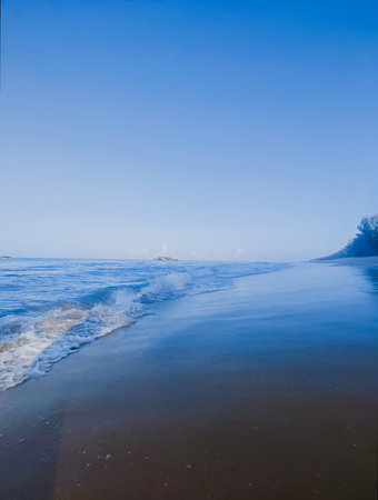 beautiful winter landscape on the seashore in the morning mist
