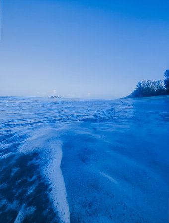 Foggy morning on the lake in the winter.
