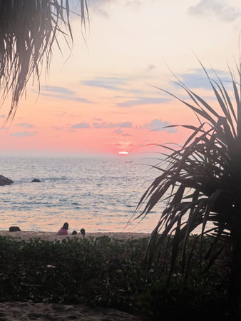 Sunset on the beach with palm trees and people silhouettes.の写真素材