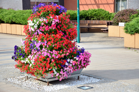 Summer street decoration of the city - pyramid made from particoloured flowersの写真素材