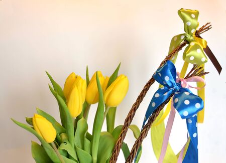 Spring composition: two easter whips with bunch of yellow tulips, empty backgroundの写真素材