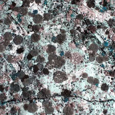 moss texture blue stoneの写真素材