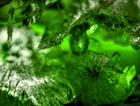 cracks inside the green amberの写真素材