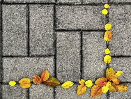 autumn backgroundの写真素材