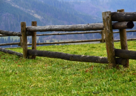wooden fence landscape of tree trunks greenfieldの写真素材