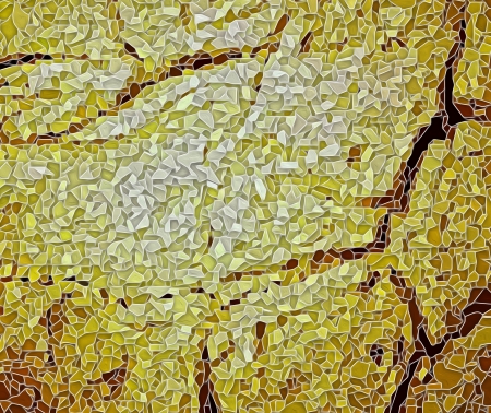 cracks in loam abstract pattern of yellow to brownの写真素材