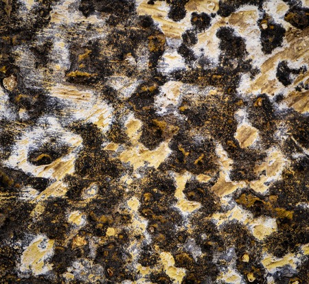 background or texture Cheetahs abstract plasterの写真素材
