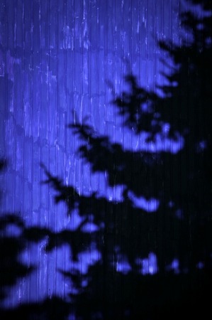 abstract background shade tree on a blue metal wall claddingの写真素材