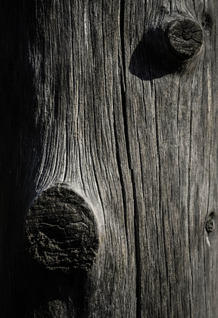 background or texture gray abstract wood trunk sculptureの写真素材