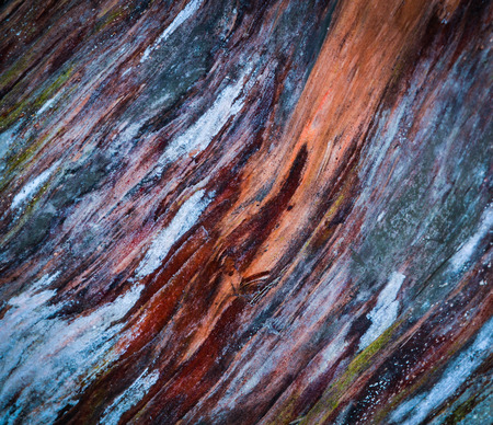 abstract background or texture Colorful the rotten woodの写真素材