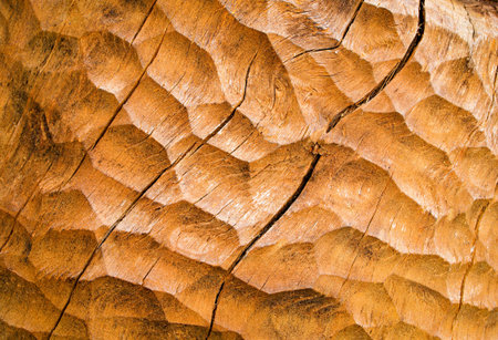 abstract background or texture ocher chiseled wood