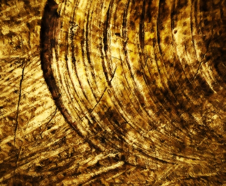 background honey yellow circular abstract textureの写真素材