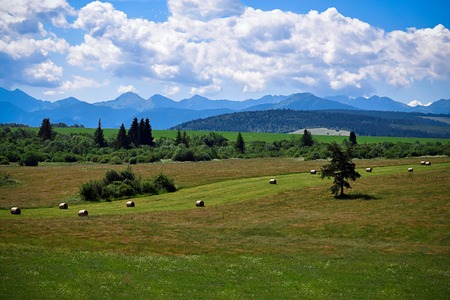 autumn landscape under the mountains in northern Slovakiaの写真素材
