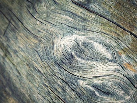 an old piece of wood with an abstract patternの写真素材