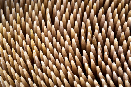 abstract background or texture Beech thin pointed needlesの写真素材