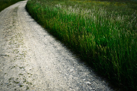 background A stone path on the edge of the meadow