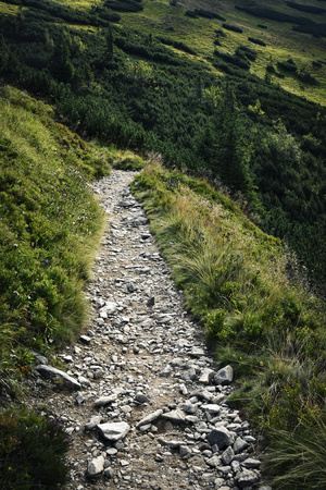 nature background stone walkway in the mountainsの写真素材