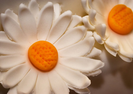 food background candy marzipan white daisy
