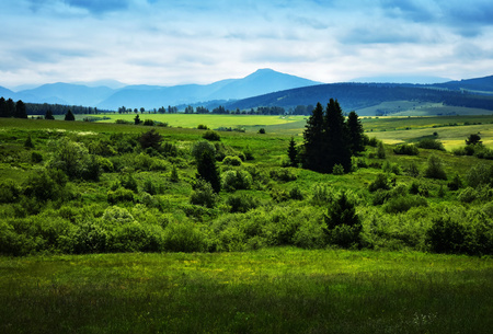 nature background summer under the mountain landscapeの写真素材