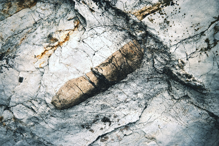 background abstract surface limestone with rocksの写真素材