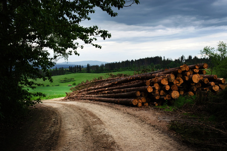 landscape background a dump wooden on the edge of the roadの写真素材