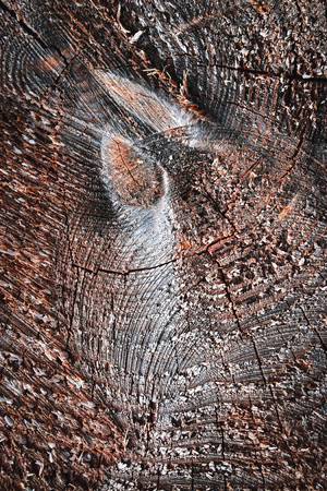 background or texture dark detail of a gray wooden boardの写真素材