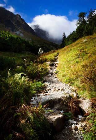 landscape background Morning autumn mountain stone walkwayの写真素材