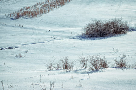 seasonal background fields and meadows agricultural winter landscape