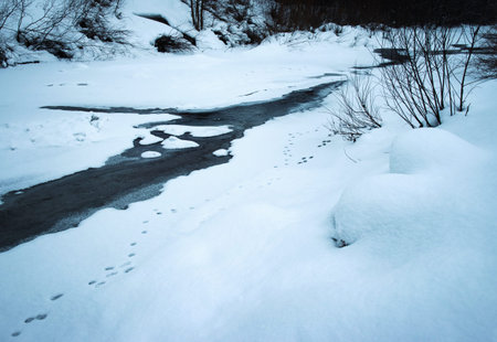 seasonal nature background winter on a dark little riverの写真素材