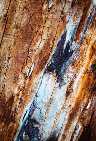 background or texture abstract surface of old rotten woodの写真素材