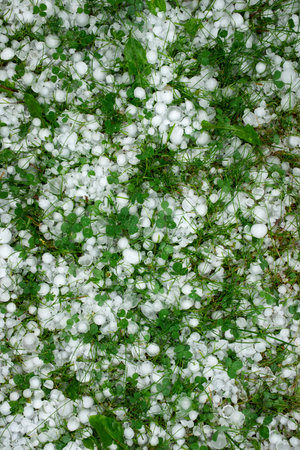nature background ice hail on a green lawn