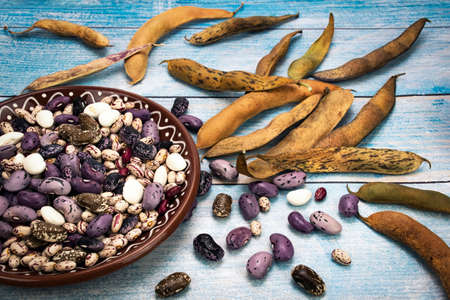 food background multicolored beans on the tableの写真素材